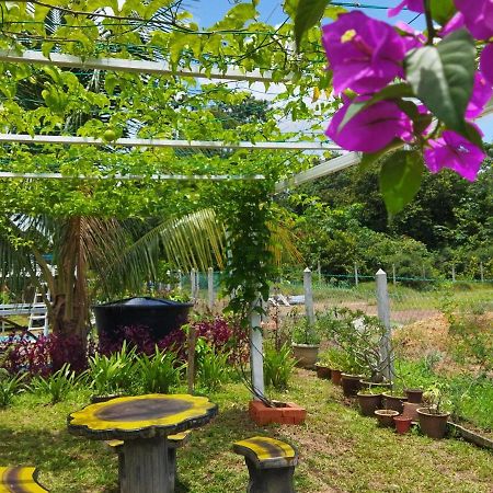 Tehel Farmhouse Malacca Buitenkant foto